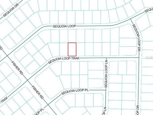 Land for sale in Ocklawaha, Florida