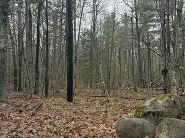 Land for sale in Essex, New York