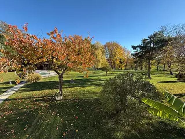 Maison vente à Vichy, Serbannes