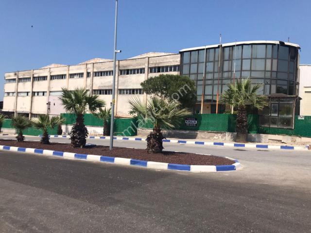 Menemen, İzmir içerisinde kiralık Fabrika