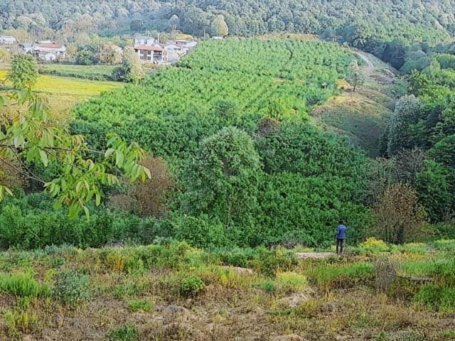 Serdivan, Sakarya içerisinde satılık Arsa