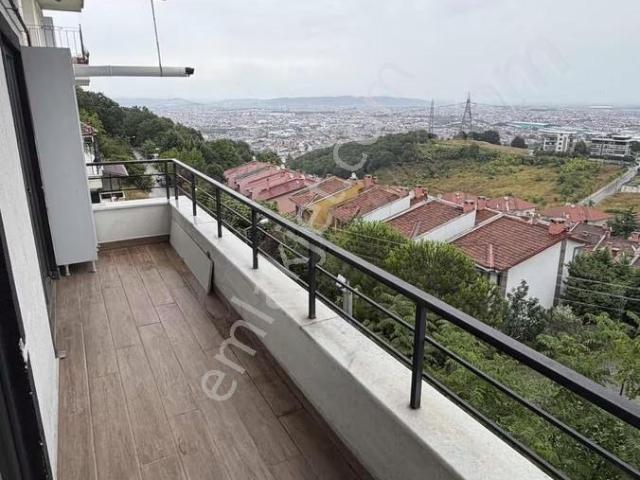 Serdivan, Sakarya içerisinde kiralık mülk