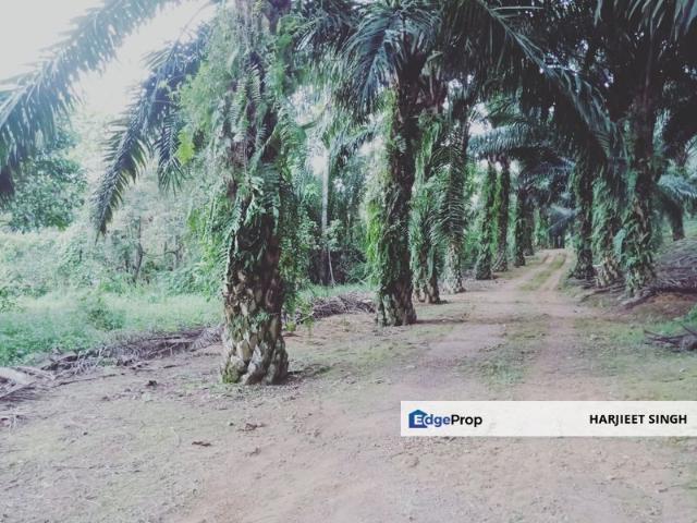 Warehouse for sale in Serendah, Selangor