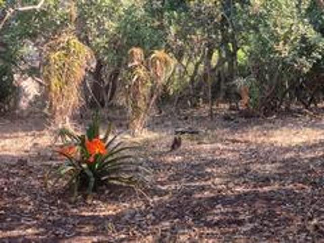 Land for sale in Groot Brak Rivier, Western Cape
