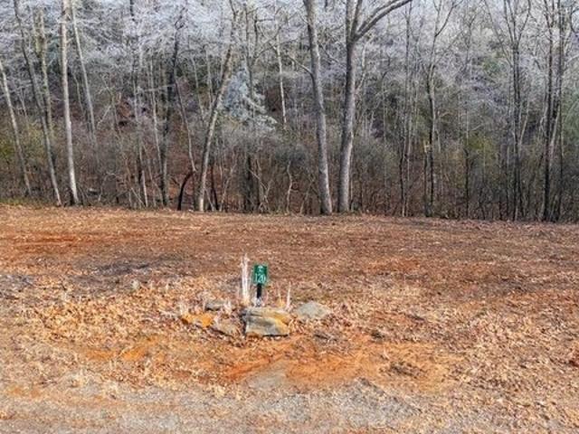 Land for sale in Murphy, North Carolina