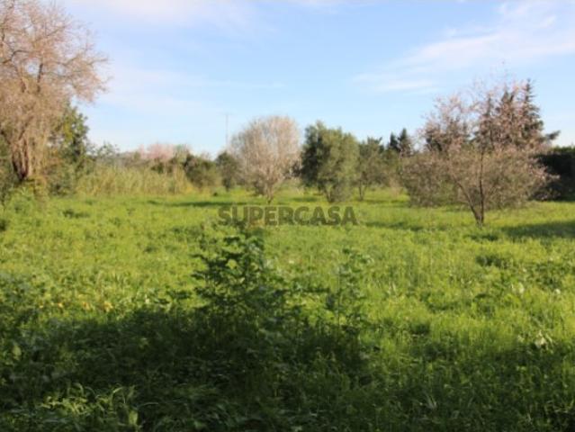 Terreno venda em Faro