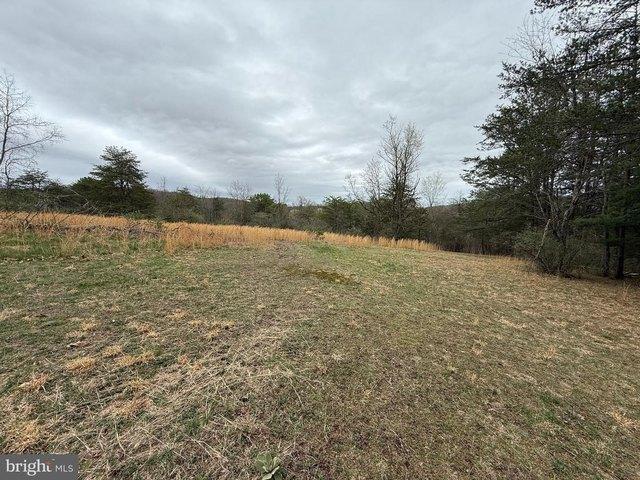 Land for sale in Hedgesville, West Virginia
