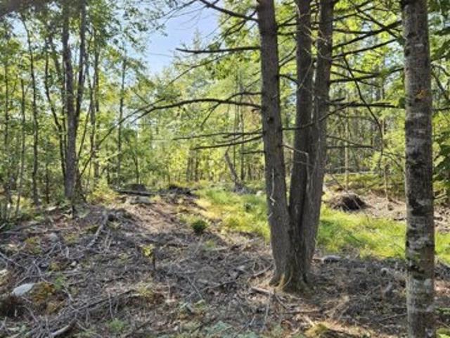 Land for sale in Oxford, Maine
