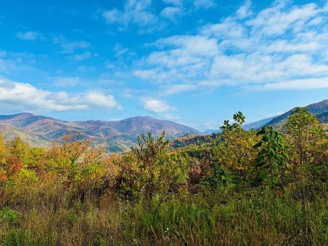 Land for sale in Andrews, North Carolina