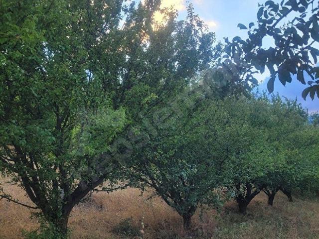 Serinhisar, Denizli içerisinde satılık mülk