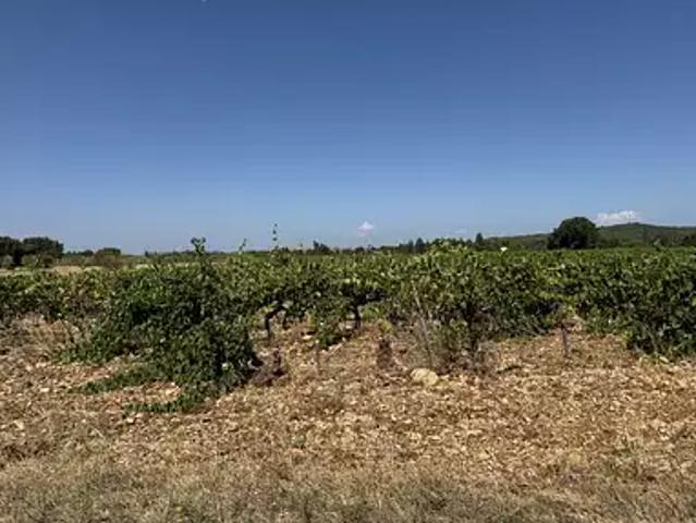 Terrain vente à Carpentras, Sérignan-du-comtat