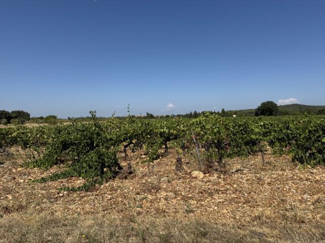 Terrain vente à Carpentras, Sérignan-du-comtat