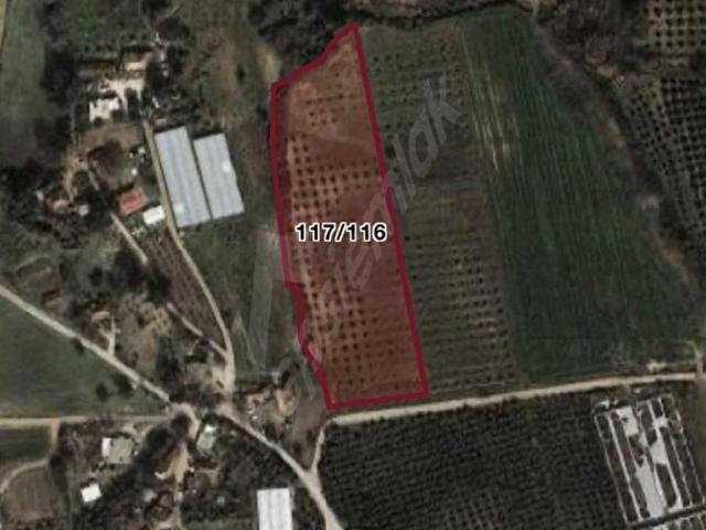 Serik, Antalya içerisinde satılık Arsa