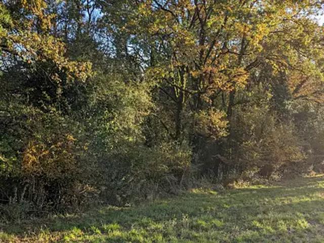Terrain vente à Brive-la-Gaillarde, Sérilhac