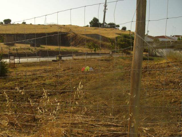 Terreno venda em Serpa (Salvador e Santa Maria), Serpa