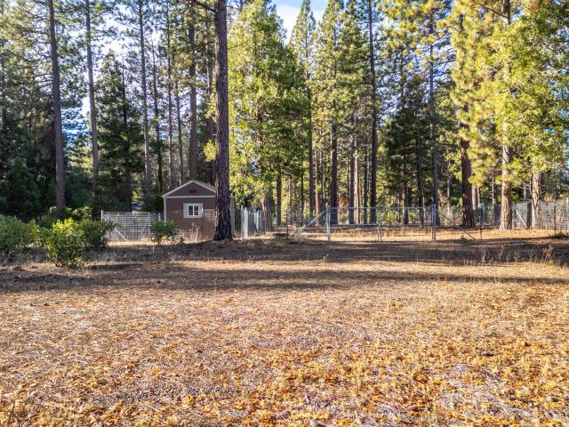 Land for sale in Burney, Shasta County