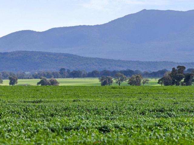 Cottage for sale in Willaura, Victoria