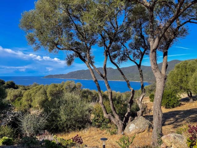 Maison vente à Ajaccio, Serra-di-ferro