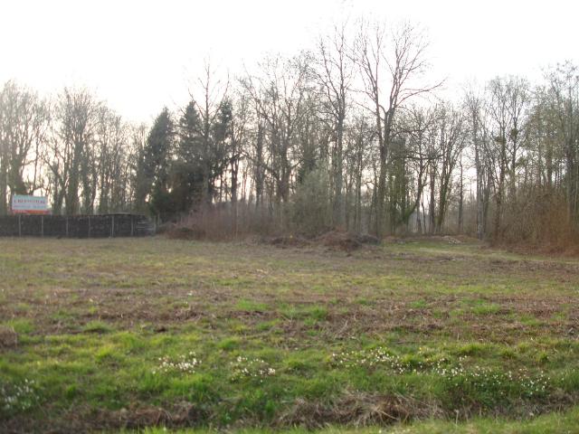 Terrain vente à Torcy, Serris