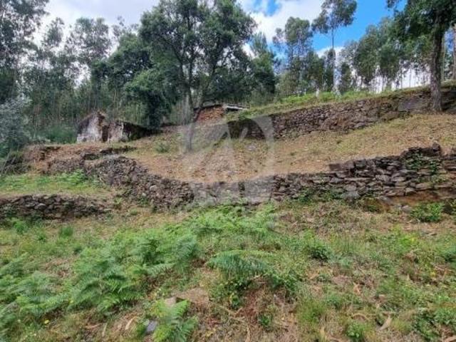 Terreno venda em Castelo Branco, Cumeada