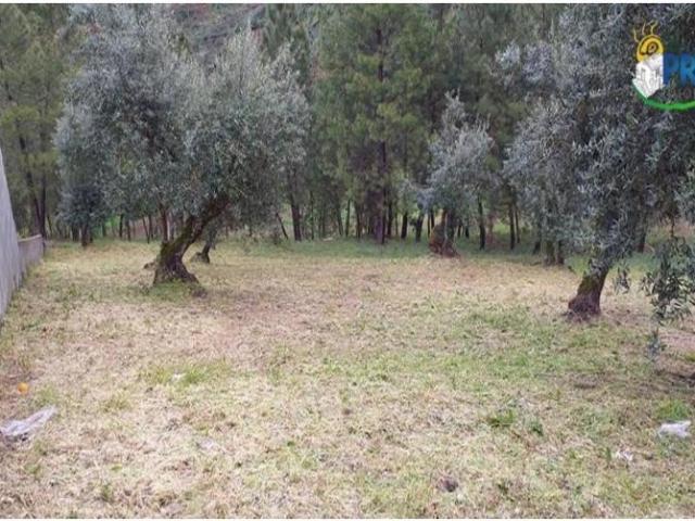 Terreno venda em Castelo Branco, Cumeada