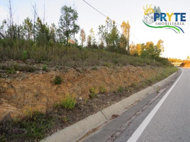 Terreno venda em Castelo Branco, Cumeada