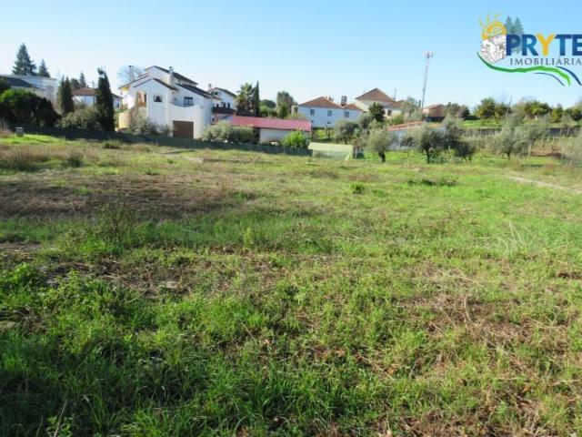 Terreno venda em Castelo Branco, Cumeada