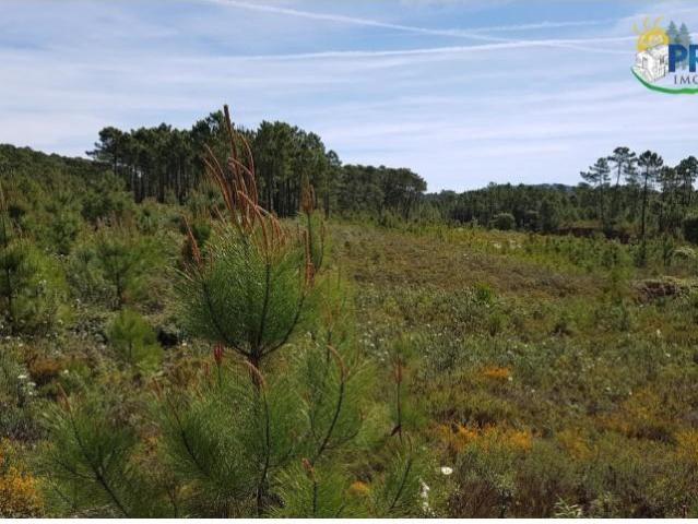 Terreno venda em Castelo Branco, Cumeada