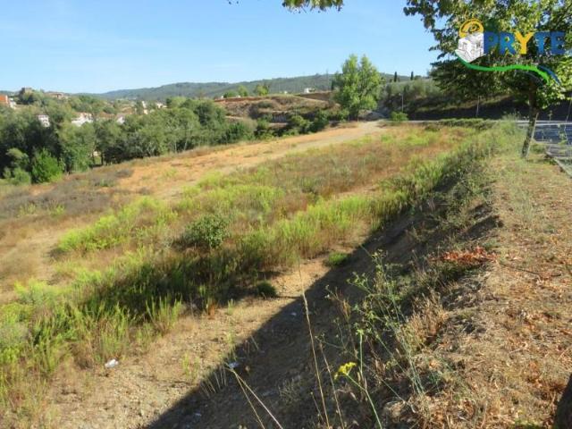 Terreno venda em Castelo Branco, Cumeada