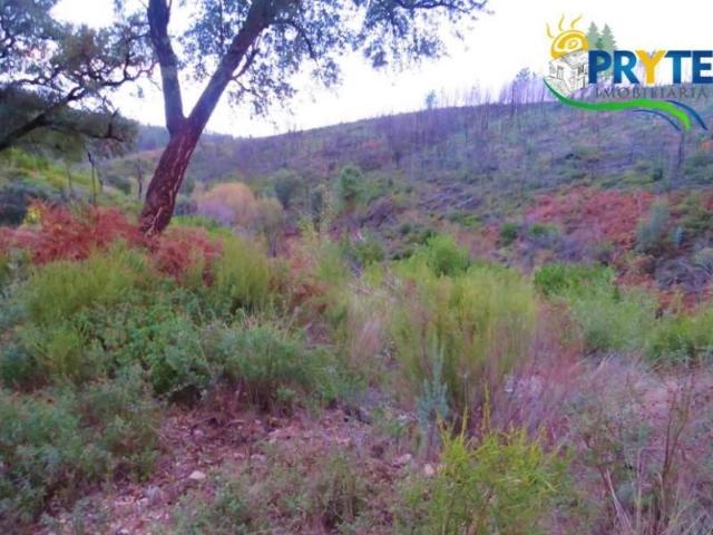 Terreno venda em Castelo Branco, Cumeada