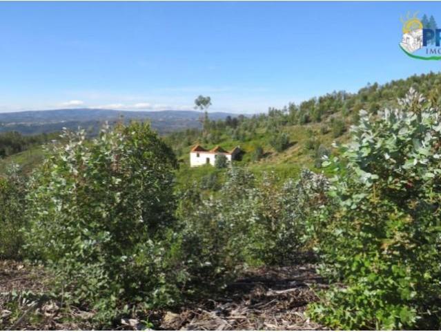 Terreno venda em Castelo Branco, Cumeada