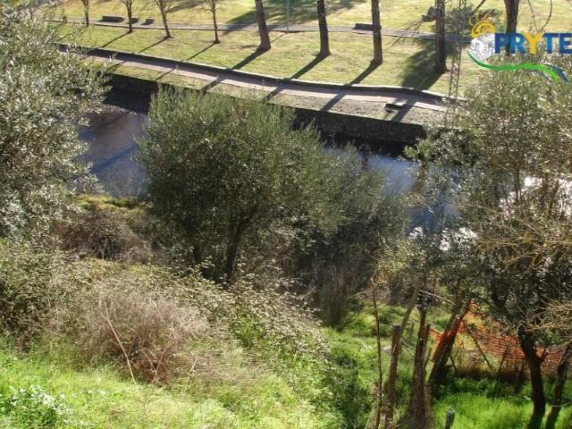 Terreno venda em Castelo Branco, Cumeada