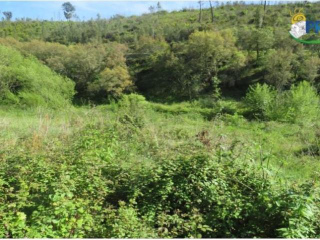 Terreno venda em Castelo Branco, Cumeada