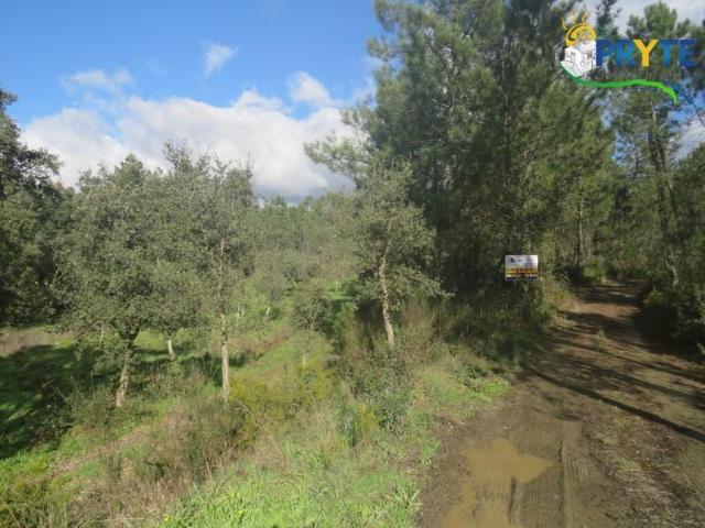 Terreno venda em Castelo Branco, Cumeada