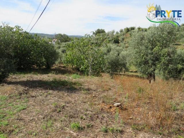 Terreno venda em Castelo Branco, Cumeada