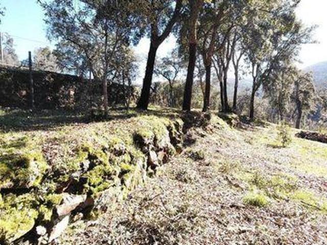 Terreno venda em Castelo Branco, Oleiros