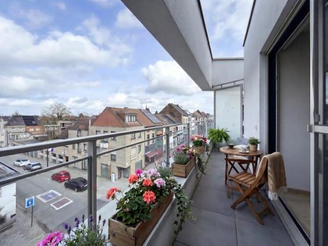 Kot location à Aalst, Oost-Vlaanderen