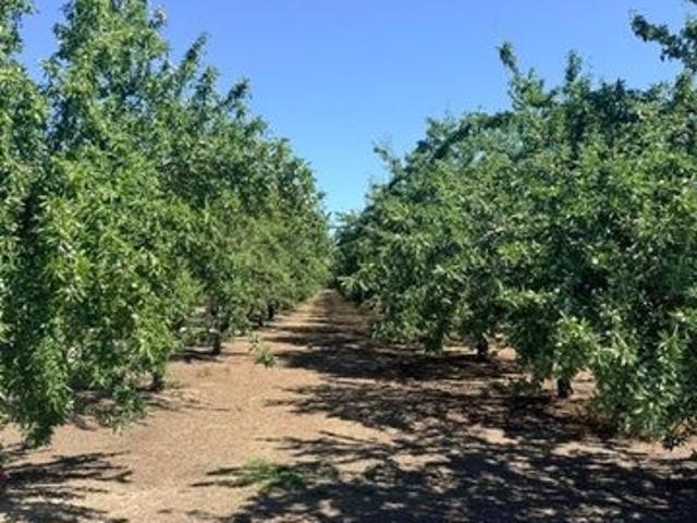 Land for sale in Ceres, California