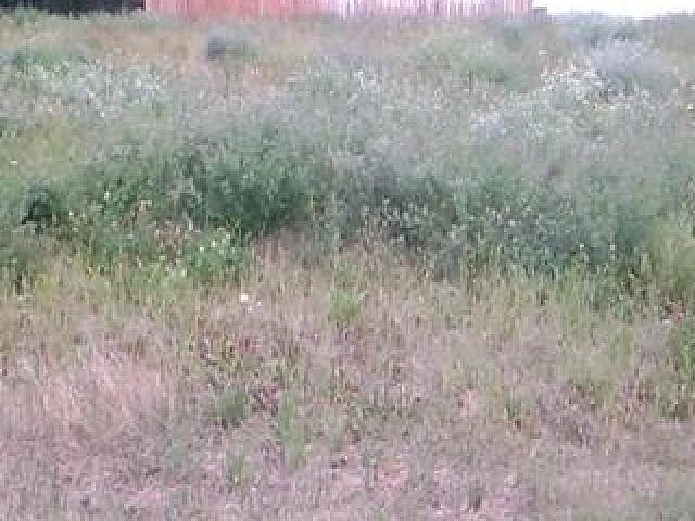 Land for sale in Regina, Saskatchewan