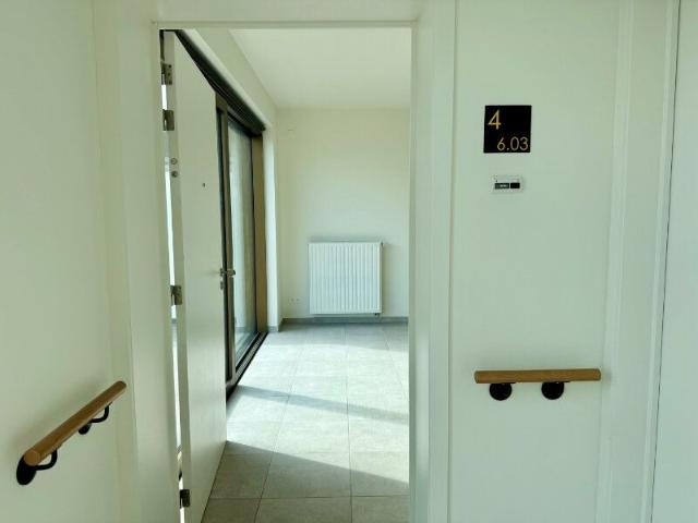 Kot location à Hasselt
