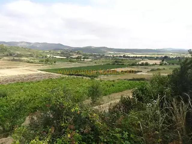 Maison vente à Serviès-en-Val, Aude