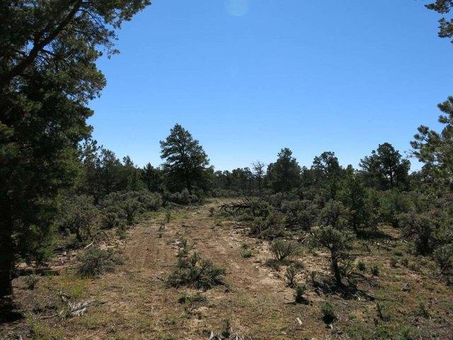Land for sale in Tres Piedras, Taos County