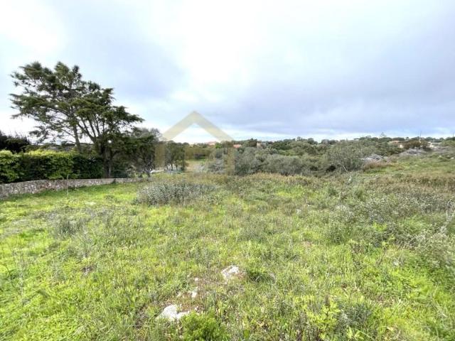 Terreno venda em Sesimbra (Castelo), Sesimbra