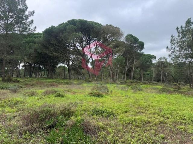 Terreno venda em Sesimbra (Castelo), Sesimbra