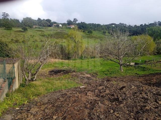 Terreno venda em Sesimbra (Castelo), Sesimbra