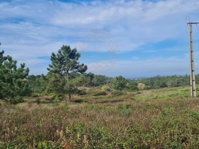 Terreno venda em Sesimbra (Castelo), Sesimbra