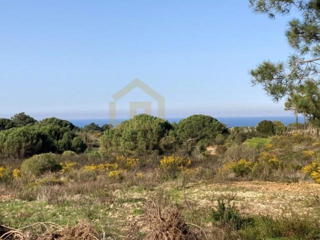 Terreno venda em Castelo, Sesimbra