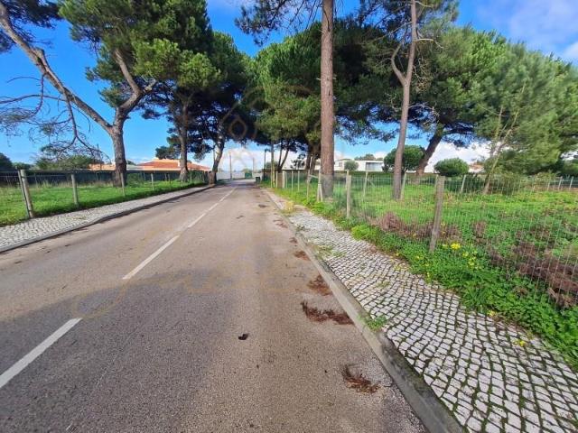 Terreno venda em Castelo, Sesimbra
