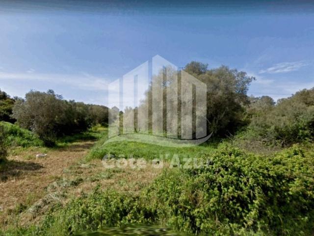 Terreno venda em Sesimbra (Castelo), Sesimbra