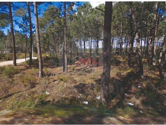 Terreno venda em Sesimbra (Castelo), Sesimbra